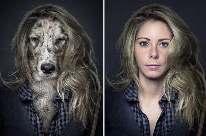 dogs-look-like-owners-3
